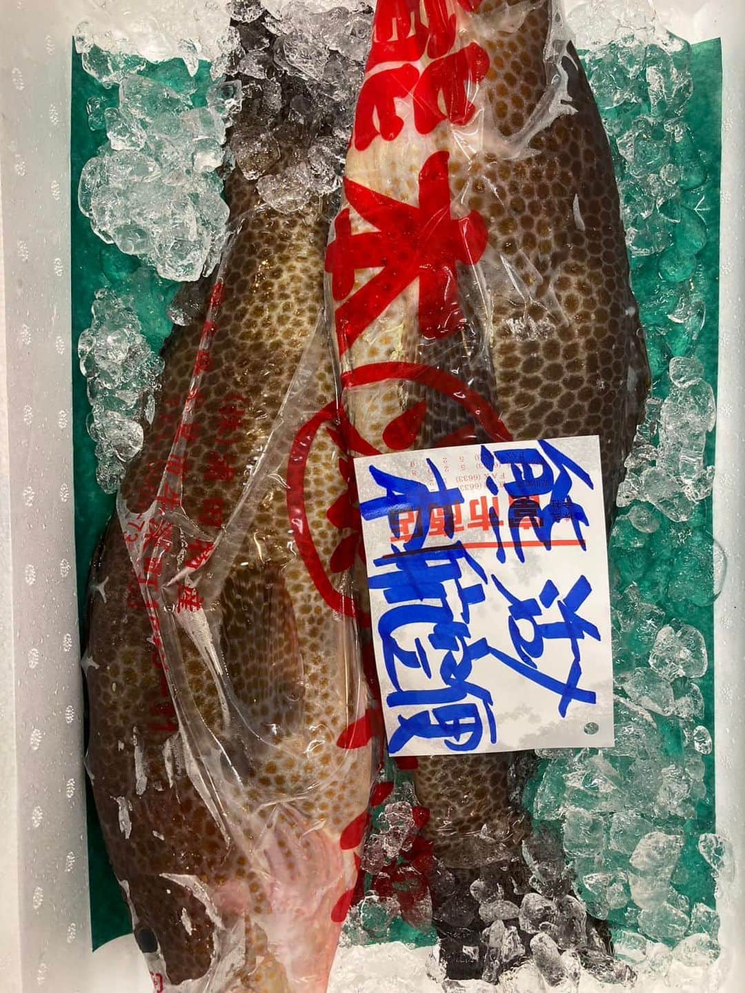 森田釣竿さんのインスタグラム写真 - (森田釣竿Instagram)「🇯🇵浦安泉銀🇯🇵本日の魚食え！コノヤロー！！！」6月1日 6時03分 - tsurizaomorita3710