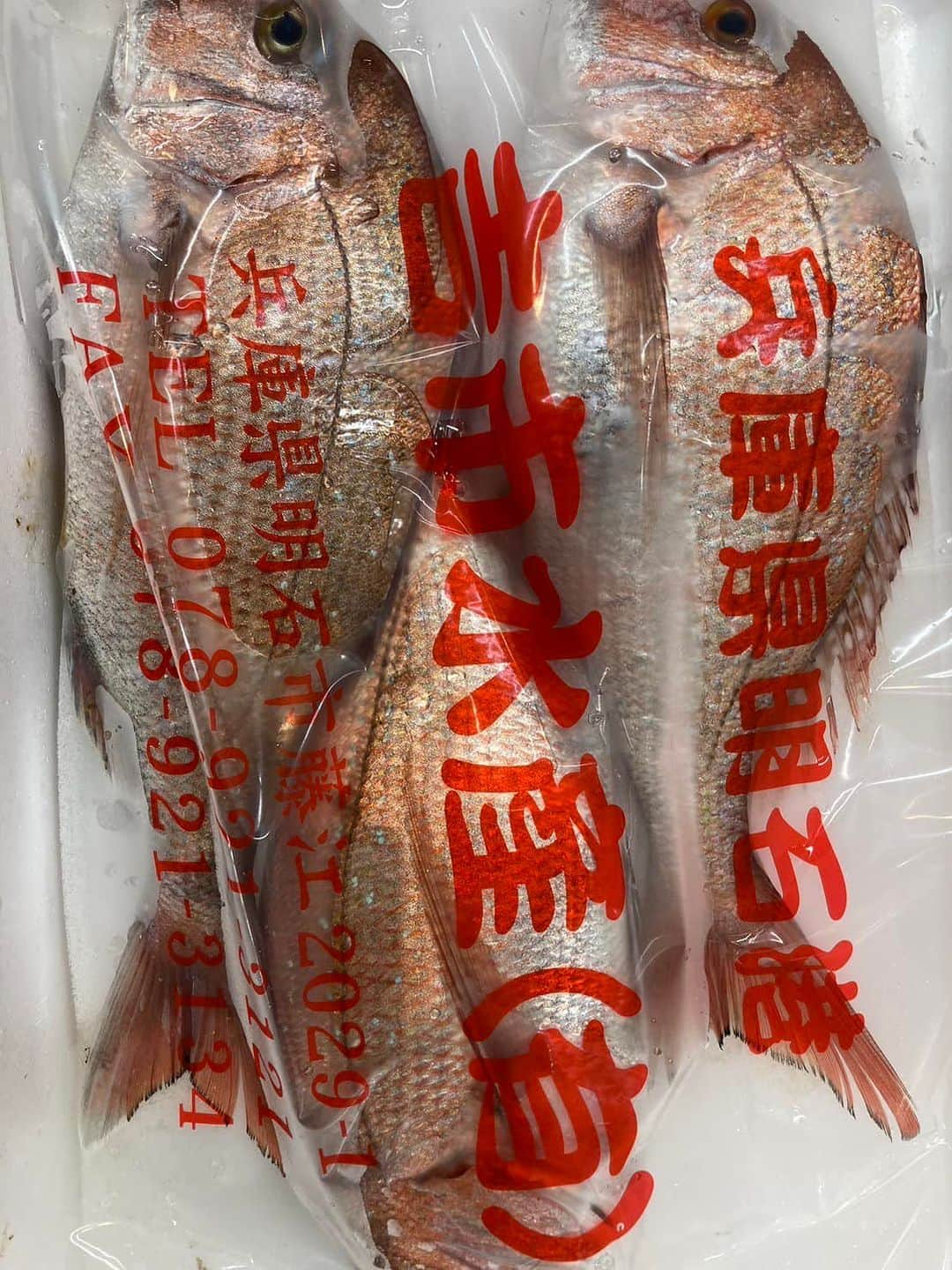 森田釣竿さんのインスタグラム写真 - (森田釣竿Instagram)「🇯🇵浦安泉銀🇯🇵本日の魚食え！コノヤロー！！！」6月1日 6時03分 - tsurizaomorita3710