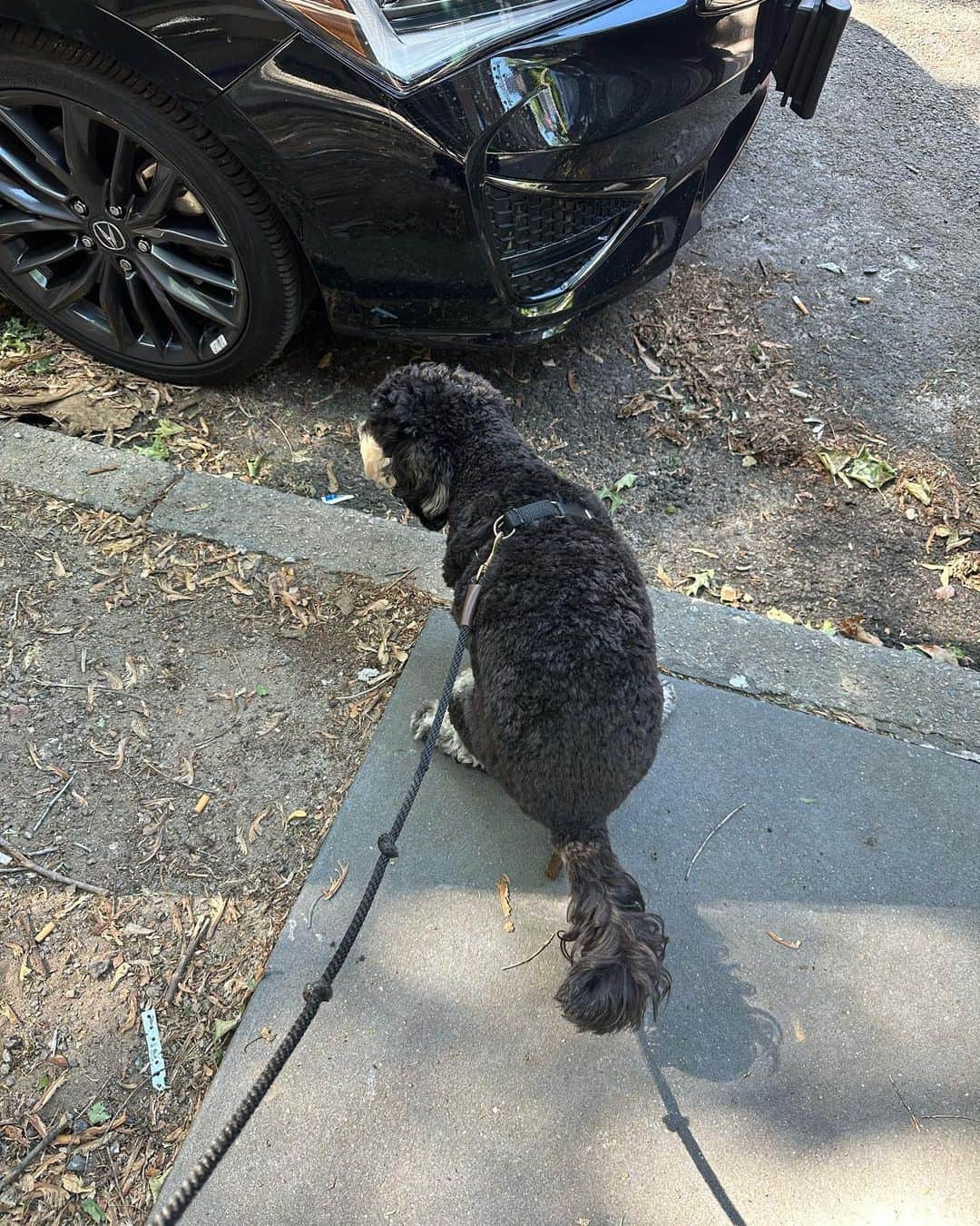 のインスタグラム：「I was looking for a beautiful picture but I don’t have any of the last few days. This is what I have been paying attention to. The shit. The move to Brooklyn (as utterly charming as it is) has brought up all the hardest stuff in me- the clinging, grieving, weighty, anxious, groundless, worried, disconnected me. Today I had long conversations with two dear friends and I just want to say thank you. This  Universe holds all our shit and it also holds the wise, soul stirring, protective, fuel giving love of real friendship. In addition to marveling at the beauty of their hearts and minds- they remind me to be my own friend too. And that is the shit that is really gonna get you through the real shit. Put that on a t-shirt. It’s very eloquent. Love you. ALL of you. ❤️ 💩」