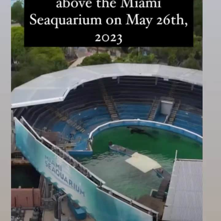 ホリー・マリー・コームズのインスタグラム：「@miamiseaquarium_  house of horror #lolita #tokitae #emptythetanks #captivitykills」