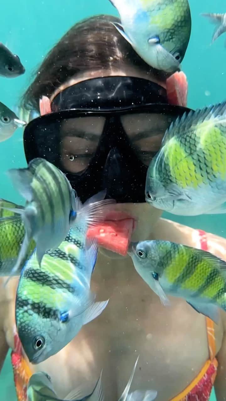 ヴィクトリア・ジャスティスのインスタグラム：「Just call me the fish whisperer 🐠🍉💕 #Phuket #Thailand 🎥: @h1.films」