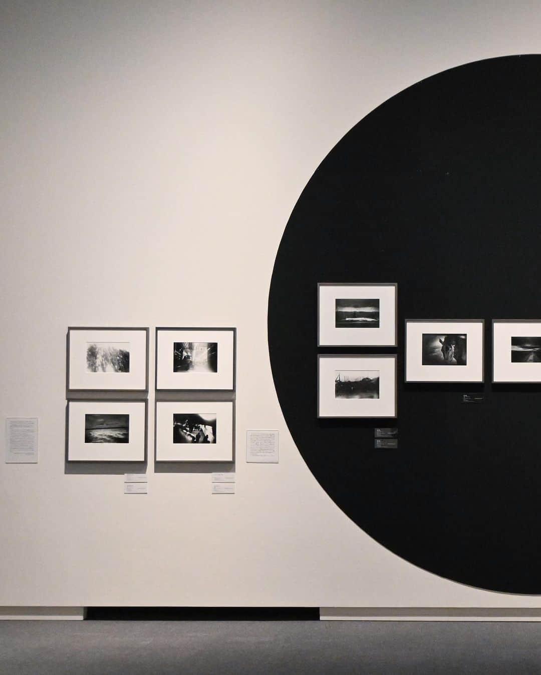 石川直樹さんのインスタグラム写真 - (石川直樹Instagram)「I visited #Shimane to go to a retrospective exhibition of Daido Moriyama. 弾丸取材で#島根 に行きました。2つ大きな目的があって、1つは『#島根半島』を巡るプロジェクトを始めることになり、その最初の撮影。これから、ぼくは島根半島に通いたいと考えています。 もう1つは、森山大道さんの、島根県立美術館では20年ぶりとなる大回顧展を観ること。2003年に島根県立美術館で開催された森山さんの回顧展も観に行っていて、それが自分の島根初上陸であり、良き思い出です。 あれから20年。森山さんの写真は、やっぱりどう考えても面白い。そして、すごい。詳しくは山陰中央日報に寄稿しますが、現在開催中の『光の記憶』展は、森山さんの写真を見続けてきた人にとっても、初めて観る人にとっても必見です。ほとんどがヴィンテージプリントで、関連資料の展示も超充実していました。点数600点近く。自分的には、全人類必見の展覧会と言いたいくらい。この規模の展示は、しばらく日本でも世界でも開かれないんじゃないか。 . 展示を見ている写真は、山陰中央日報の記者さんが撮ってくれました。初夏の松江、最高です。皆さん、ぜひ！ @shimane_art_museum」6月1日 8時12分 - straightree8848