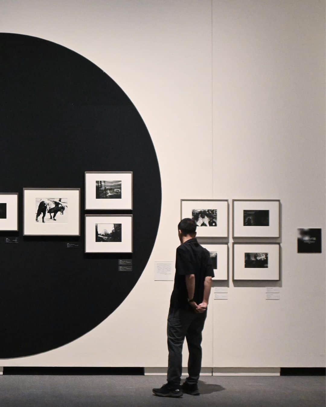 石川直樹さんのインスタグラム写真 - (石川直樹Instagram)「I visited #Shimane to go to a retrospective exhibition of Daido Moriyama. 弾丸取材で#島根 に行きました。2つ大きな目的があって、1つは『#島根半島』を巡るプロジェクトを始めることになり、その最初の撮影。これから、ぼくは島根半島に通いたいと考えています。 もう1つは、森山大道さんの、島根県立美術館では20年ぶりとなる大回顧展を観ること。2003年に島根県立美術館で開催された森山さんの回顧展も観に行っていて、それが自分の島根初上陸であり、良き思い出です。 あれから20年。森山さんの写真は、やっぱりどう考えても面白い。そして、すごい。詳しくは山陰中央日報に寄稿しますが、現在開催中の『光の記憶』展は、森山さんの写真を見続けてきた人にとっても、初めて観る人にとっても必見です。ほとんどがヴィンテージプリントで、関連資料の展示も超充実していました。点数600点近く。自分的には、全人類必見の展覧会と言いたいくらい。この規模の展示は、しばらく日本でも世界でも開かれないんじゃないか。 . 展示を見ている写真は、山陰中央日報の記者さんが撮ってくれました。初夏の松江、最高です。皆さん、ぜひ！ @shimane_art_museum」6月1日 8時12分 - straightree8848