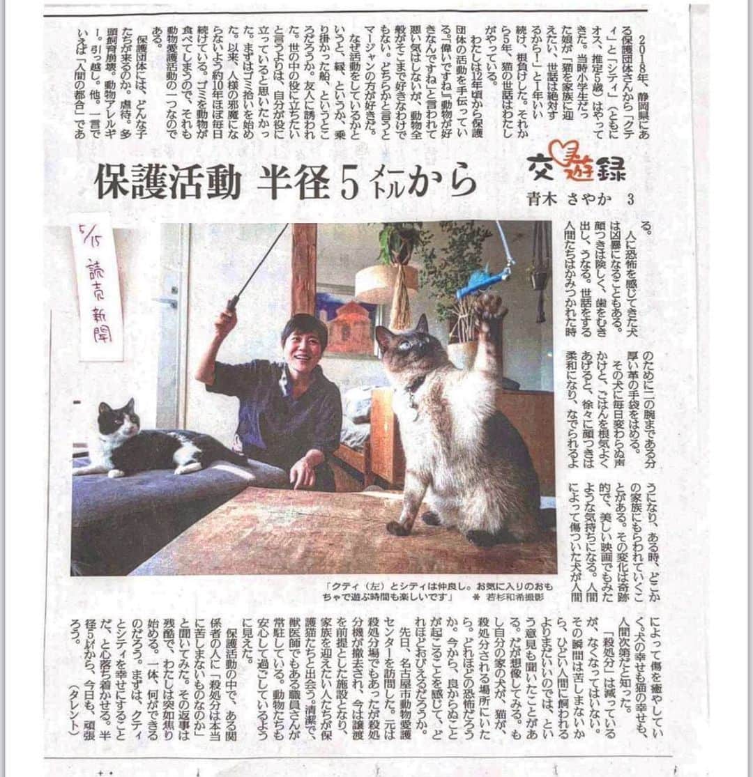 青木さやかのインスタグラム：「読売新聞さんの連載3回目 猫とわたしと動物愛護。 皆さまありがとうございました。 #読売新聞　さん #ねこ」