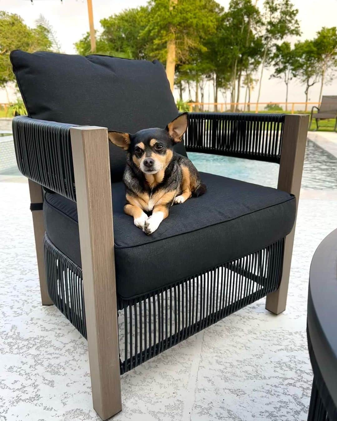 Wal-Mart Stores, Incさんのインスタグラム写真 - (Wal-Mart Stores, IncInstagram)「This outdoor setup is the staycation spot of the season. 🕶️☀️ Thanks for the inspo, @wifeonadime! #OutdoorDecor #Staycation」6月1日 8時22分 - walmart