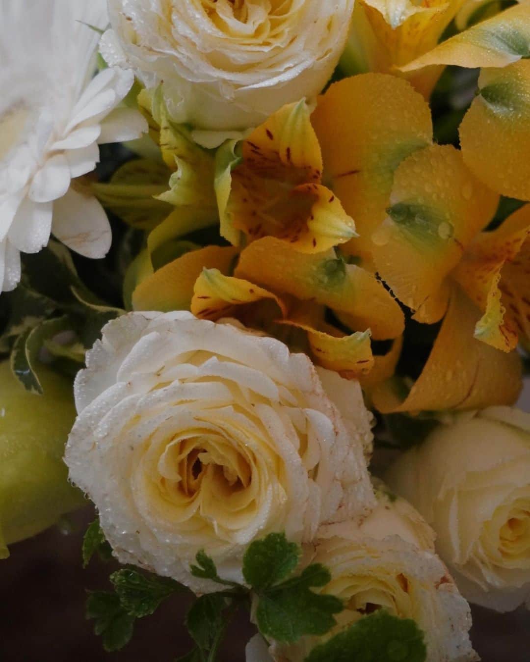 izu（出岡美咲）さんのインスタグラム写真 - (izu（出岡美咲）Instagram)「リビングに綺麗な子が居てくれると、お部屋の空気が変わります。  お花の持つ力は凄い。  #花のある暮らし」6月1日 8時25分 - izu_stagram
