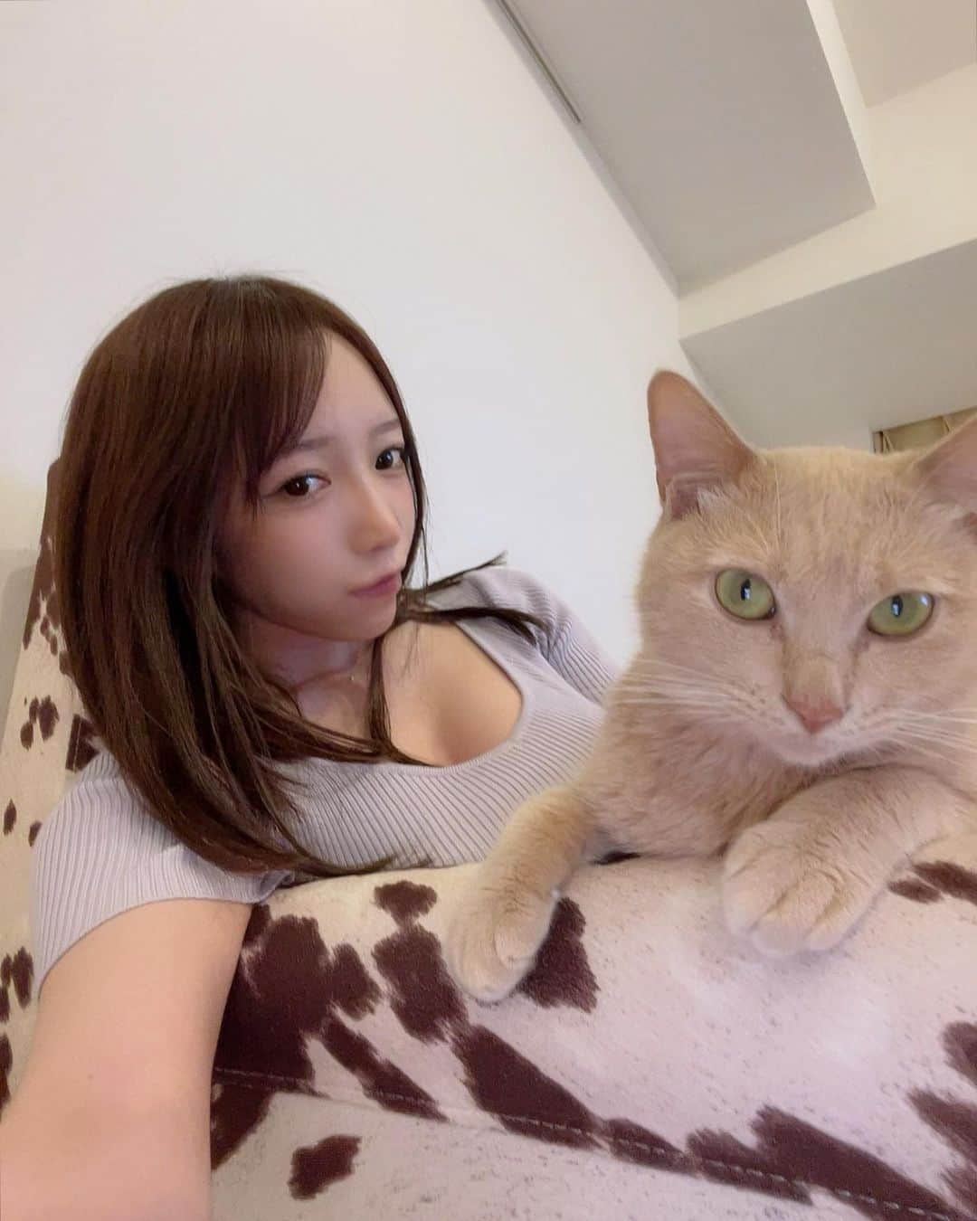 清水あいりのインスタグラム：「ミアとのツーショットを載せてほしいという お声が多かったので…🐈🐈 久々のツーショット👼🏻🤍 家にいる時は 毎日ずーっとくっついてます お手洗いに行く時も お風呂に行く時も 洗濯物を取り出す時も 食器洗う時も メイクする時も いつもくっついてきます 私がミアのそばから離れると ミアがどれだけ寝てても 必ず起きて眠たそうな目でついてくる すぐそこ戻るよって言っても 必ずついてくる  どうして猫ってあんなにしぶとく しかもダルそうな顔で ついてこれるの？笑 可愛いよね、愛おしいよね  ツーショットも たくさん撮ってるねんで けど私がInstagramに 載せられる格好をしてないことがほとんどなの笑 家にてミアとくっついてる時 ほぼ裸やからね  #野良猫から家猫へ」