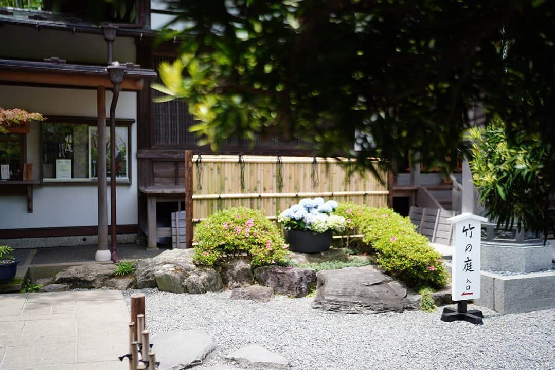 前田有紀さんのインスタグラム写真 - (前田有紀Instagram)「6月のはじまり。  鎌倉の報国寺さん　@houkokuji_official の本堂手前に先週から紫陽花を飾らせていただいています。 鎌倉はあちこちで紫陽花シーズンが始まっていますが、報国寺さんのお庭の紫陽花は自然な佇まいが感じられて美しいです。  ぜひ鎌倉にきて報国寺に行かれる方はお花も見てくださったら嬉しいです。  #報国寺 #鎌倉さんぽ」6月1日 9時31分 - yukimaeda0117