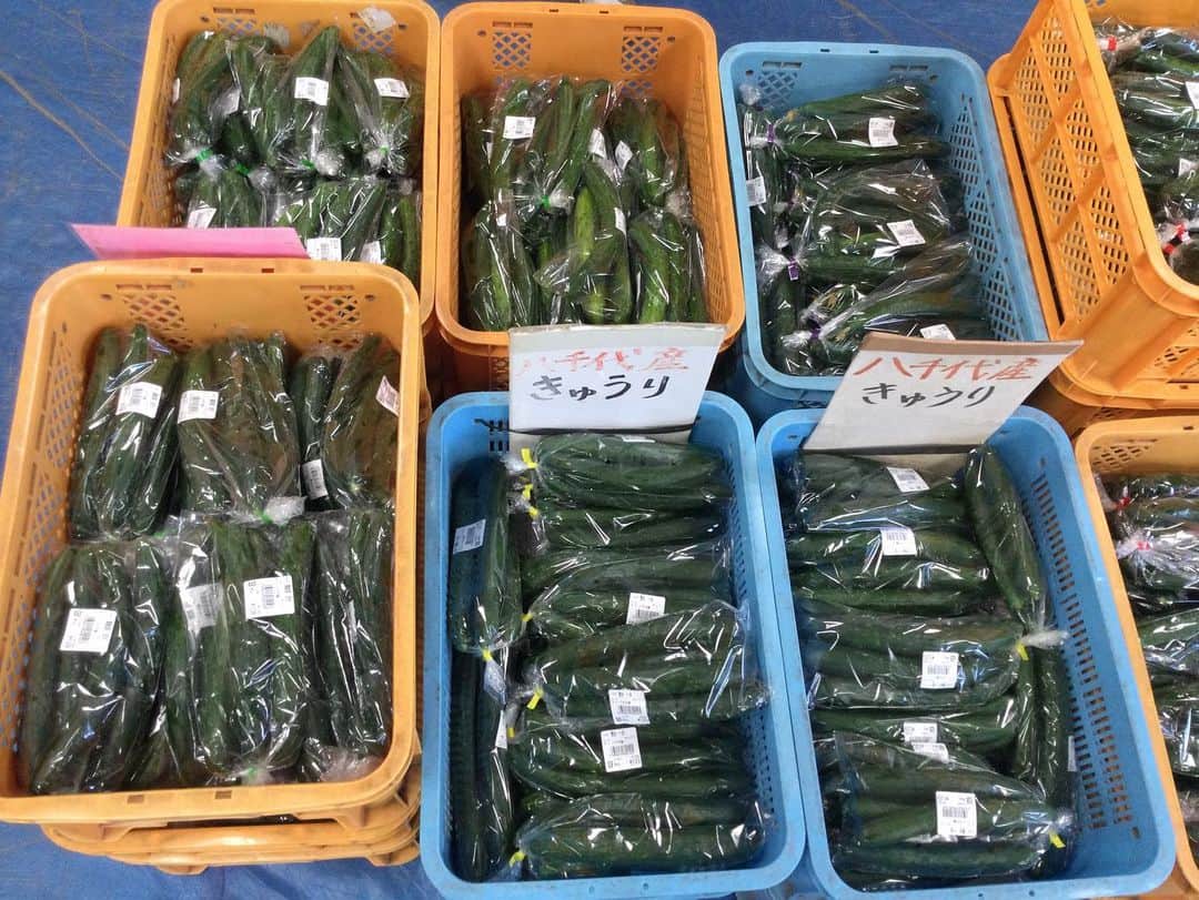 道の駅やちよさんのインスタグラム写真 - (道の駅やちよInstagram)「* おはようございます😃 農産物直売所より 今日は旬のお野菜大量に入荷しております！ 特にトマト🍅きゅうり🥒とてもお安くなってます。 梅雨の合間の貴重なお天気！ ぜひお買い物にお越しください😊  #道の駅やちよ　#農産物直売所　#新鮮野菜　#八千代市」6月1日 9時49分 - michinoeki_yachiyo090720