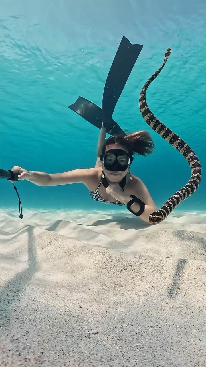 GoProのインスタグラム