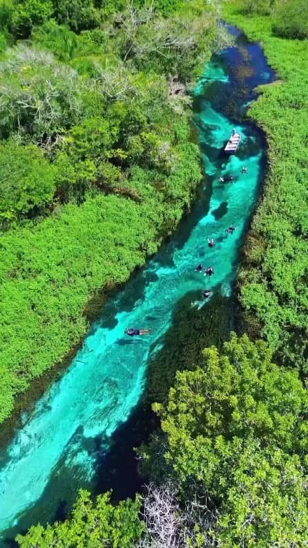Padgramのインスタグラム：「@eduardoalvesz —Bonito, located in southern Brazil’s Mato Grosso do Sul state, is a town renowned for its natural beauty and ecotourism. The region is famous for its pristine rivers, particularly the Rio Sucuri, which attracts snorkelers with its abundance of fish. The Rio Sucuri offers a breathtaking freshwater experience with its clear turquoise waters teeming with fish and vibrant underwater gardens. Surrounding the river is a lush emerald jungle inhabited by monkeys, sloths, and brilliantly colored macaws.  🎥 @eduardoalvesz  📍Bonita, Brazil 🇧🇷  🎶Coastline (Vancouver Sleep Clinic Remix)-hollow coves  #pgdaily #pgstar#pgcounty #beautiful_destinations #planetgo#planet #planetearth #amazing #awesome #nature #brazil #brazil🇧🇷」