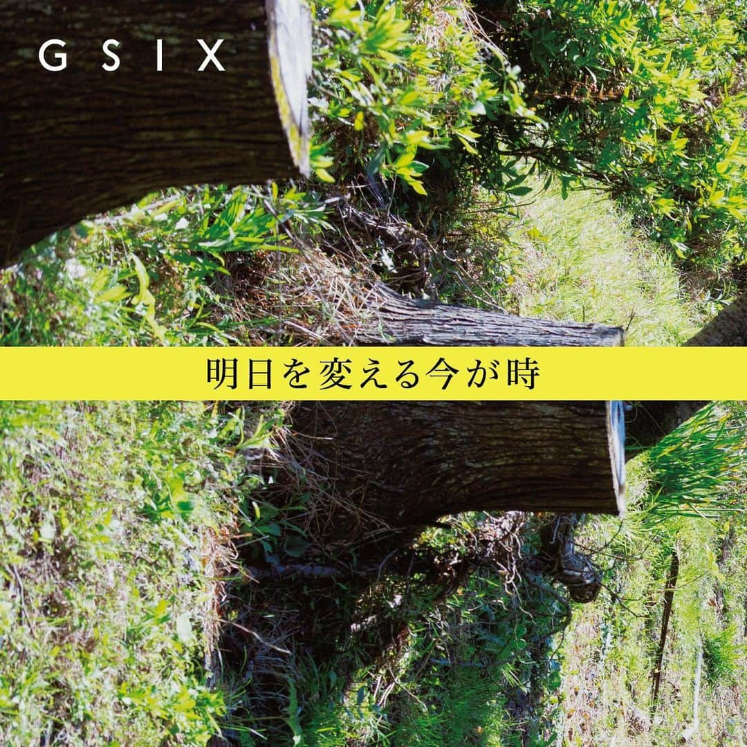 #ぶらエディターズ GINZA SIX オフィシャルのインスタグラム：「GINZA SIX magazine Summer 2023 ISSUE 10 「The World of Tomorrow 明日を変える今が時」   GINZA SIXが年に2回、特別編集で発行しているブランディングマガジン「GINZA SIX magazine」。   本日6/1（木）よりお待ちかねのISSUE 10となる2023年の夏号が、GINZA SIXの館内をはじめ配布がスタートしました！👏🏻✨   今号は6月の環境月間に合わせて発行するGINZA SIX magazine初めてのサステナブル特集です📖🌱🌎訴えかけるように力強い表紙の写真は、写真家の大森克己さん @omorikatsumiに撮り下ろしていただいた、千葉県鴨川市にあるハーブ農園「苗目」 @naemekamogawaの里山の風景です🏔🌲   異質に横たわる切り倒された木々。これは森林破壊ではなく、農林業の縮小と環境維持の担い手不足によって荒廃し切った里山の伐採されぬままそびえ育った杉を間伐し、周辺の草や花、足元の土へふたたび光を届けることで、里山に色とりどりの多様、たくさんの命が蘇っている再生途中の風景です🌸🌿   様々な人や組織、会社、ブランドが、未来のために行っているアクションや思想を、ファッション、ビューティ、フード、工芸、銀座にまつわる人々やブランドに取材し、できるだけシンプルに伝えることに努めた今号。   新しい夏の季節、暑さを感じると同時に頭をよぎる地球環境について、一人ひとりが明日を変えるため今をどう過ごすかを、GINZA SIXをきっかけに共に思考する一冊として手に取ってもらえたら幸いです🌿   明日を変える今が時。   プロフィールのURL🔗または 下記のウェブサイトからは、編集長の岡田有加さんが今号の背景について綴ったEditor’s Letterと全ページの誌面も閲覧いただけます。 https://ginza6.tokyo/gsix2023/magazine-23ss   Editor in Chief: @yukaokada81 of @81_inc Photo: (Cover): @omorikatsumi Art Director: Shogo Kosakai of @siun_studio   #ginzasixmagazine #summer #sustainable #サスティナブル #サステナブル #sustainablefashion #sustainableliving #SDGs #ethical #エシカル #環境月間 #環境問題 #持続可能 #savetheearth #fashion #ファッション #food #グルメ #beauty #美容 #工芸 #traditionalcrafts #里山 #森林 #雑誌 #magazine #ginza #銀座 #ginzasix #ギンザシックス   @ginzasix_official」