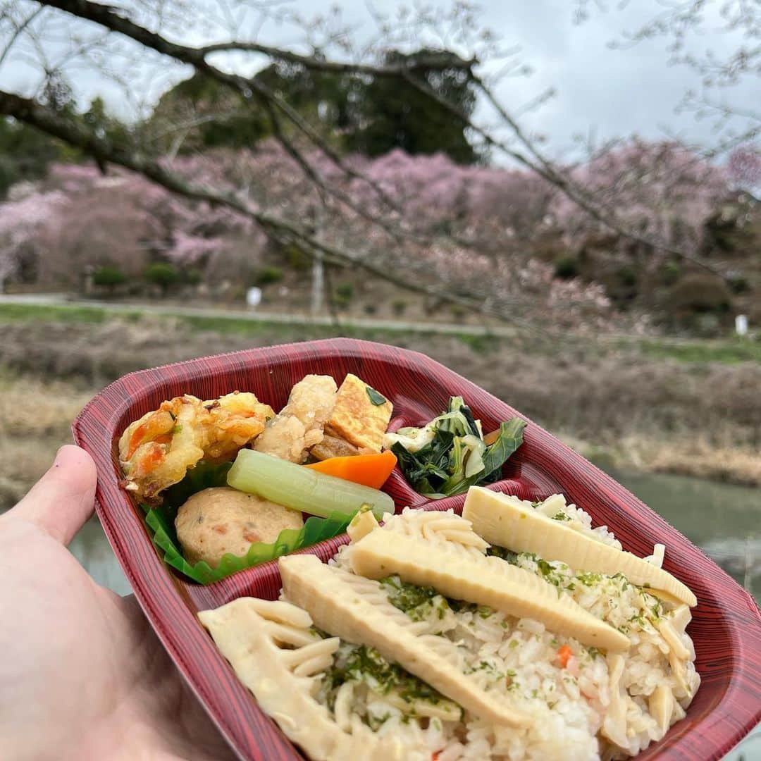 谷口礼子さんのインスタグラム写真 - (谷口礼子Instagram)「【掲載情報】 バスジャパンハンドブック『神姫バス』が発売されます！ 今回も巻末の紀行編の執筆を担当させていただき、春の海景色・山景色を、一泊二日のバス乗り降り旅で巡りました。  全国書店でお求めいただけます！ ぜひご覧ください！  https://ameblo.jp/jako-jako/entry-12805551287.html  #BJハンドブック #谷口礼子 #バスジャパンハンドブック #神姫バス」6月1日 12時51分 - manekijako