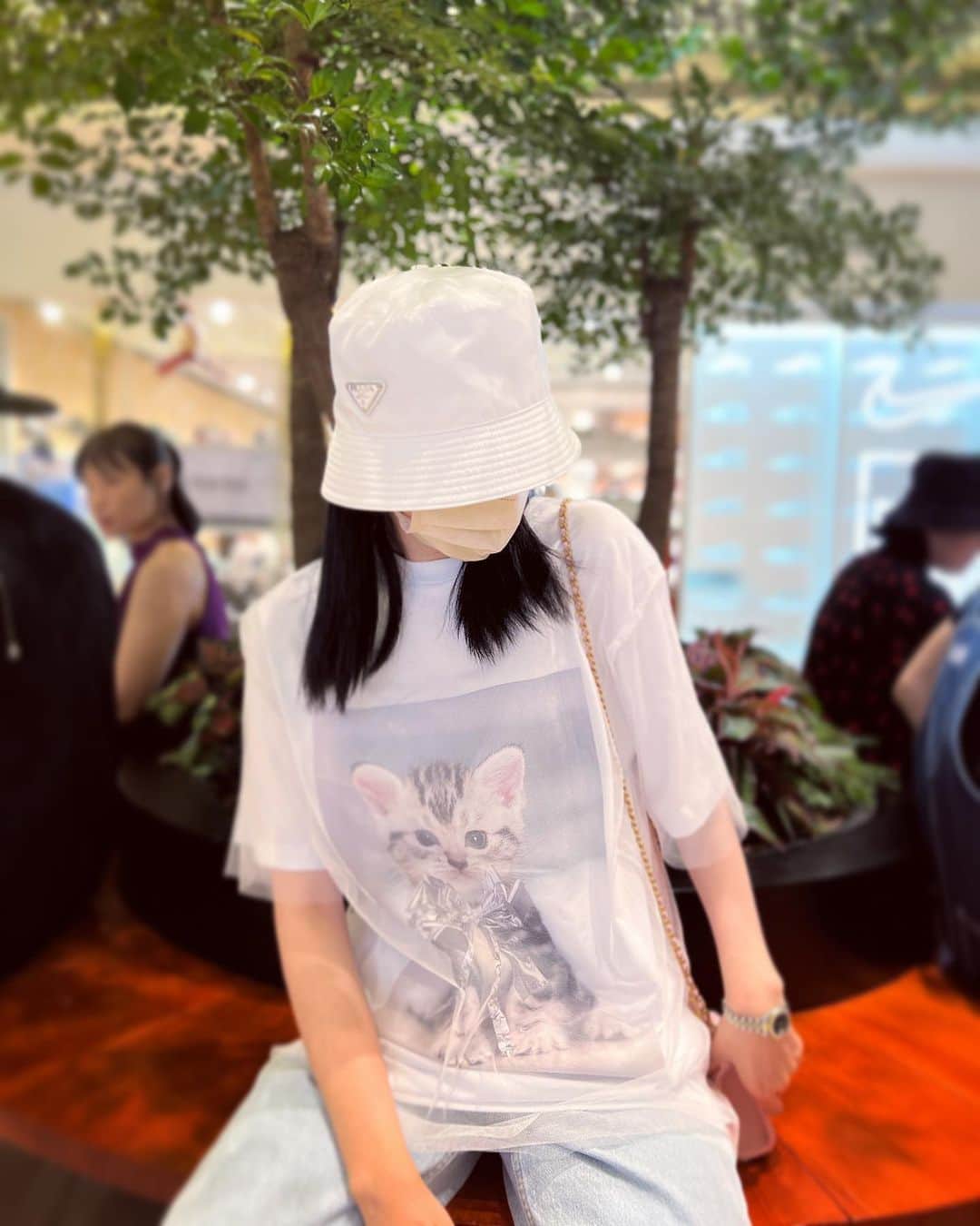 パフ・クオのインスタグラム：「Eat,sleep,cats,repeat ☕️  . . .  ❤️ @msgm @bluebelltw」