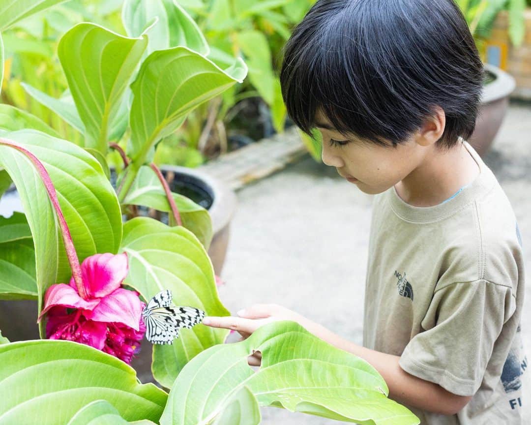 セソコマサユキさんのインスタグラム写真 - (セソコマサユキInstagram)「いつかの熱帯ドリームセンターが楽しかった件。長男たっての希望で苔テラリウムを作りに行ったのでした。  #沖縄 #移住 #子育て #熱帯ドリームセンター #苔テラリウム」6月1日 13時06分 - sesokomasayuki
