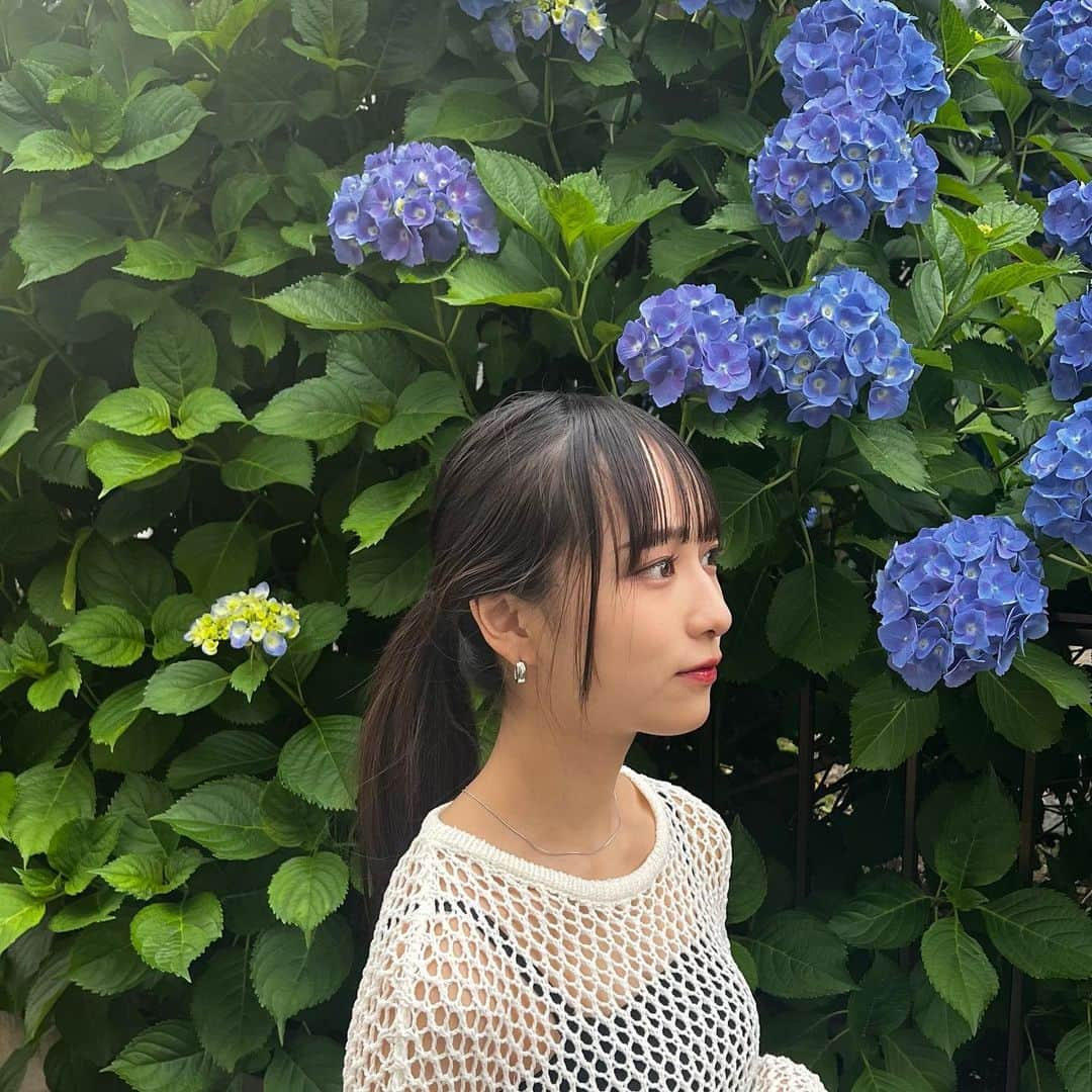 佐藤ひなたさんのインスタグラム写真 - (佐藤ひなたInstagram)「・ ・ ﾍｱｱﾚﾝｼﾞして、お洋服も夏っぽく🌻 髪の毛ｶﾅﾘ伸びたでしょー🐰 めっちゃ綺麗な紫陽花も発見✨  最近、お水もｵｯｹｰでつけっぱなしできるｱｸｾ見つけたの!! ｼﾝﾌﾟﾙで重ねづけもお気に入り♡  気温差と熱中症に気をつけようね🐱  @thelimely #LIMELY #ライムリー #肌に優しいアクセサリー #つけっぱなし #金属アレルギー対応 #316l #サージカルステンレス #ちょっとしたプレゼント にもｵｽｽﾒ🎁 #ヘアアレンジ  #佐藤ひなた #ひな #06 #ひなdays」6月1日 13時14分 - hinata_sato_official