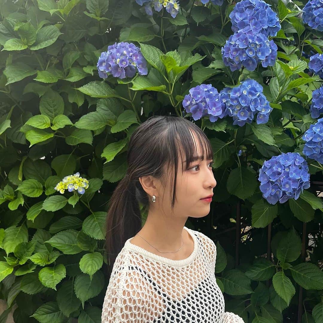 のインスタグラム：「・ ・ ﾍｱｱﾚﾝｼﾞして、お洋服も夏っぽく🌻 髪の毛ｶﾅﾘ伸びたでしょー🐰 めっちゃ綺麗な紫陽花も発見✨  最近、お水もｵｯｹｰでつけっぱなしできるｱｸｾ見つけたの!! ｼﾝﾌﾟﾙで重ねづけもお気に入り♡  気温差と熱中症に気をつけようね🐱  @thelimely #LIMELY #ライムリー #肌に優しいアクセサリー #つけっぱなし #金属アレルギー対応 #316l #サージカルステンレス #ちょっとしたプレゼント にもｵｽｽﾒ🎁 #ヘアアレンジ  #佐藤ひなた #ひな #06 #ひなdays」