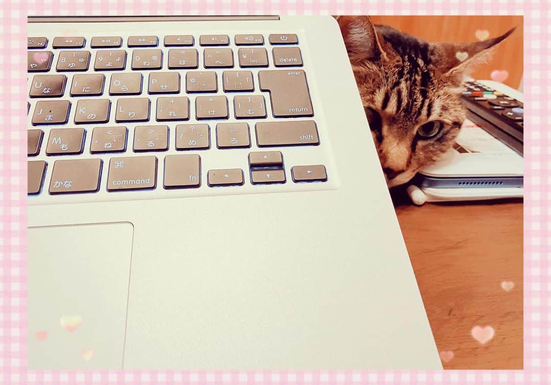 ゆきのさつきさんのインスタグラム写真 - (ゆきのさつきInstagram)「勉強に集中出来ん・・・。 牛乳飲んで寝よう🥛  #ネコは見た」6月2日 0時23分 - satsuki_yukino