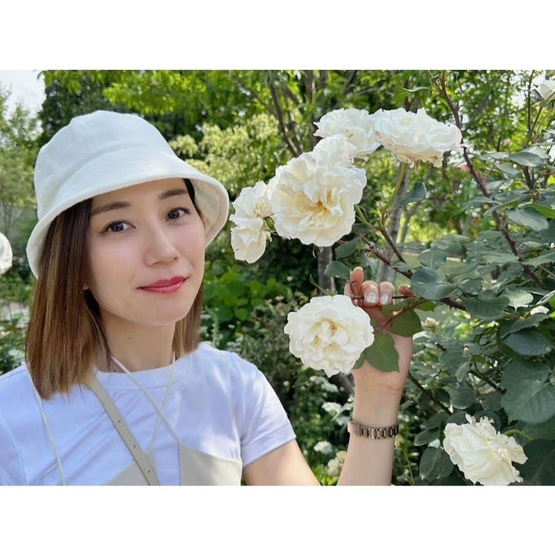 佐々木瞳さんのインスタグラム写真 - (佐々木瞳Instagram)「【6月スタート🌹】  6月がはじまりましたね！ 何でもはじまりは、どきどきわくわく˚✧₊⁎❝᷀ົཽ≀ˍ̮ ❝᷀ົཽ⁎⁺˳✧༚ 色々進めたいことがあるので、頑張ります💪✨  先日息抜きで、群馬県にバスツアーへ🚌伊香保温泉街やバラ園があんなに楽しいなんて、と思うくらいきゃっきゃっしました🤍 のちほど、レポします❣️  翌日は、福島へ田植えへ🌾 これでもかってくらい笑いました😆こちらも後ほどレポします📝  リフレッシュして、6月頑張れそうです🤍🪽  #群馬県 #伊香保温泉街 #バスツアー #バラ園 #福島県 #トラベラー #観光 #弾丸旅行 #フットワーク軽め #旅 #trip #travel #traveler #旅行 #travelgram #地域 #地域創生 #地域活性化#地域の魅力 #関係人口 #地域ファン #観光人口 #交流人口 #移住人口 #定住人口 #6月スタート」6月2日 0時24分 - hitomihappygirl1026