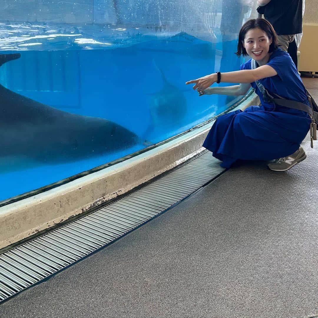 平田薫さんのインスタグラム写真 - (平田薫Instagram)「娘ちゃんに至近距離でイルカを見せたい母。  #いつかのえのすい」6月1日 23時57分 - hiratakaoru1215