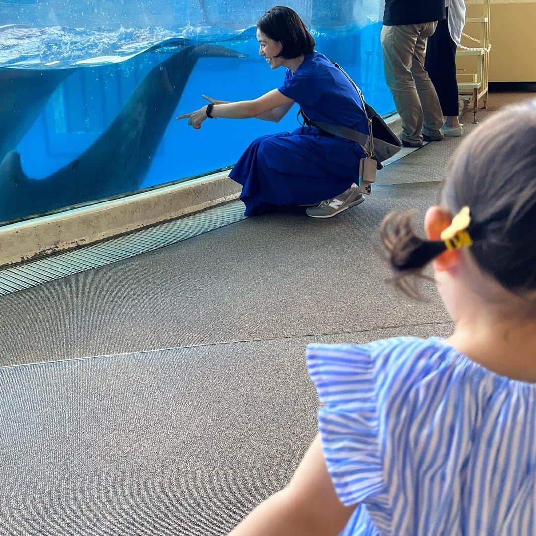 平田薫のインスタグラム：「娘ちゃんに至近距離でイルカを見せたい母。  #いつかのえのすい」
