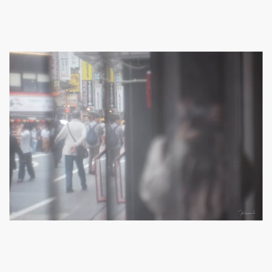 花澄のインスタグラム：「73mm snap Leica M10-P hektor 73mm f1.9  #leica#leicam10p#hektor#hektor35mm#oldlens#オールドレンズ#tokyo#japan#oldlens_tokyo#花澄#kazumiphotography」