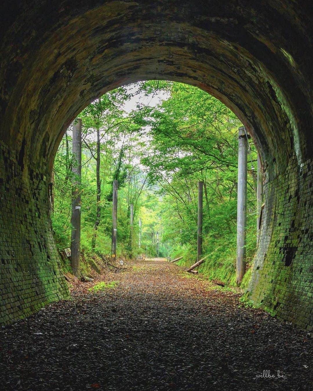 ?長野県 観光 公式インスタグラム さんのインスタグラム写真 - (?長野県 観光 公式インスタグラム Instagram)「// Photo by @_willbe_be  往来時の面影が残る 「漆久保トンネル」　 ＠安曇野市  旧国鉄篠ノ井線の廃線敷にある 「漆久保トンネル」  明治35年から86年間 多くの人や物資が運搬されてきました😀✨️  レンガ積みのトンネルや信号機など 当時の面影が残るコースを のんびり散策してみませんか？🚶✨️  ＝＝＝＝＝＝＝＝＝  Urushikubo Tunnel (Azumino City)  The Urushikubo Tunnel is along the former Japan National Railway Shinonoi train line, which operated from 1902 to 1988.   Wouldn’t you like to take a walk along this railroad trail, passing through brick-laid tunnels and spotting vestiges of Japan’s locomotive history?  ＿＿＿＿＿＿＿＿＿　  Location / Azumino City , Nagano , Japan   #おうちでながの #長野のいいところ #漆久保トンネル #旧国鉄 #安曇野市」6月1日 17時00分 - nagano_japan