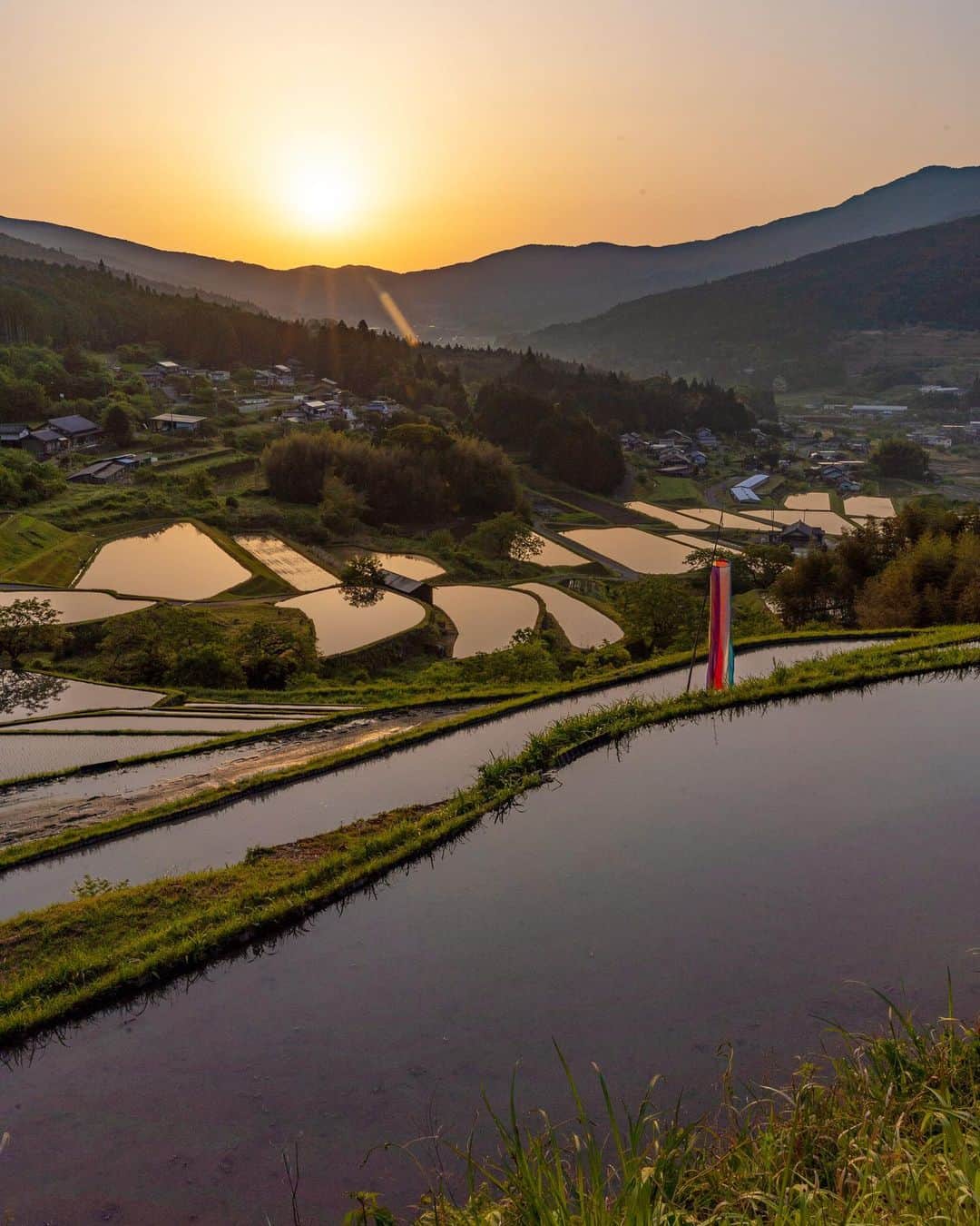 のインスタグラム：「📷 17th May 2023 📍岐阜県 坂折棚田 / Sakaori rice terrace Gifu Japan   日本の棚田百選にも選ばれている、岐阜県にある #坂折棚田 。標高500ｍ前後の山の斜面に約360枚の棚田が広がっています。  この棚田の始まりは、なんと400年前の江戸時代😳石積みが1枚ずつの小さな田んぼを支えています。  この日は棚田で朝日を見るために、家を深夜1時（！）に出発。  ちょうど田植えがさればかりで、小さな稲が朝日にキラキラと輝いていました✨2枚目の写真がけっこうお気に入り！  棚田って管理が大変で、農家さんが高齢になると耕作放棄地になっちゃうところが多いんだよね…最近わたしが見に行った場所も、けっこう棚田の景観が保存されていない場所が多くて。  この坂折棚田は保存会の皆さんによって、オーナー制度（誰でも棚田のオーナーになれる！）などで美しい棚田が保存されています。展望台まで整備されていて本当にうれしいなあ🙏  春は水田、夏は緑の田んぼ、秋には金色の稲穂、たまにライトアップイベントもされているみたい。また季節を変えてきてみたいな🌾  岐阜県の投稿はこのタグでまとめています / Posts of this area can be found in this tag.→ #shiho_gifu   The #SakaoriRiceTerrace in Gifu Prefecture have been selected as one of the 100 best terraced rice paddies in Japan. About 360 terraced rice fields are spread out on the slope of a mountain at an altitude of around 500 meters.  These terraced rice fields began 400 years ago! Iron masonry supports each small rice field. On this day, we left home at 1 am (!) to watch the sunrise in the terraced rice fields.  The rice had just been planted and the tiny rice plants glistened in the morning sun. The second photo is my favorite!  Terraced rice paddies are very difficult to manage, and many of them are abandoned when the farmers get old... Recently, I visited many places where the terraced rice paddies have not been preserved. The Sakaori terraced rice paddies have been preserved by the preservation group through an owner system (anyone can become a terraced rice paddy owner!) and other efforts. I am very happy to see that they have even built a viewing platform. In spring, the rice paddies are paddies, in summer they are green rice fields, in fall they are golden ears of rice, and sometimes they have light-up events. I would like to visit again in a different season!  ©︎Shiho/詩歩」