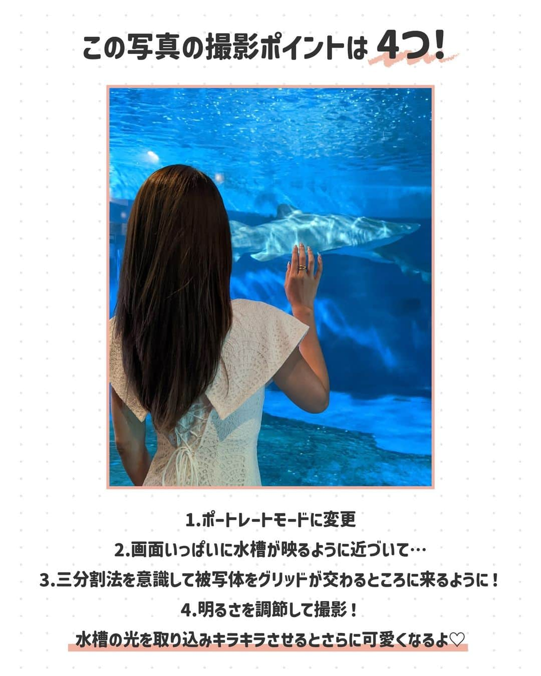 ソフトバンク(SoftBank) さんのインスタグラム写真 - (ソフトバンク(SoftBank) Instagram)「＼水族館に行く予定がある人必見！ ／📱📷  館内が暗くて撮影が難しい水族館…🐡✨ 今回は、そんな水族館での映える撮影方法を2つご紹介！✨  📷【本日のおさらい】 ✨巨大水槽と一緒にキラキラ ✨クラゲと一緒に映え  真似してみたい方はコメントに「🐠」で教えてください🙋‍♀️！ ・ 保存して、写真を撮ってもらうときに「こんなふうに撮って〜✨」とお友だちに見せてあげてね😆 ・ 次回の撮り方紹介もお楽しみに〜✌️  ---------------------------------- フォローはこちらから ↓↓↓↓↓↓↓↓↓↓↓↓↓↓↓↓↓↓↓↓ @softbank_official  使用端末📱：Google Pixel 7  #SoftBank #ソフトバンク #GooglePixel7 #Googlepixelで撮影 #スマホテク #スマホ撮影 #スマホテク #スマホ撮影 #写真の撮り方  #撮り方 #写真加工 #インスタ映え #映えスポット  #加工の仕方 #加工方法 #水族館 #しながわ水族館」6月2日 12時00分 - softbank_official