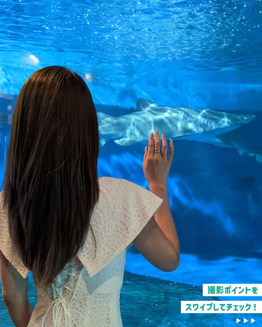 ソフトバンク(SoftBank) さんのインスタグラム写真 - (ソフトバンク(SoftBank) Instagram)「＼水族館に行く予定がある人必見！ ／📱📷  館内が暗くて撮影が難しい水族館…🐡✨ 今回は、そんな水族館での映える撮影方法を2つご紹介！✨  📷【本日のおさらい】 ✨巨大水槽と一緒にキラキラ ✨クラゲと一緒に映え  真似してみたい方はコメントに「🐠」で教えてください🙋‍♀️！ ・ 保存して、写真を撮ってもらうときに「こんなふうに撮って〜✨」とお友だちに見せてあげてね😆 ・ 次回の撮り方紹介もお楽しみに〜✌️  ---------------------------------- フォローはこちらから ↓↓↓↓↓↓↓↓↓↓↓↓↓↓↓↓↓↓↓↓ @softbank_official  使用端末📱：Google Pixel 7  #SoftBank #ソフトバンク #GooglePixel7 #Googlepixelで撮影 #スマホテク #スマホ撮影 #スマホテク #スマホ撮影 #写真の撮り方  #撮り方 #写真加工 #インスタ映え #映えスポット  #加工の仕方 #加工方法 #水族館 #しながわ水族館」6月2日 12時00分 - softbank_official