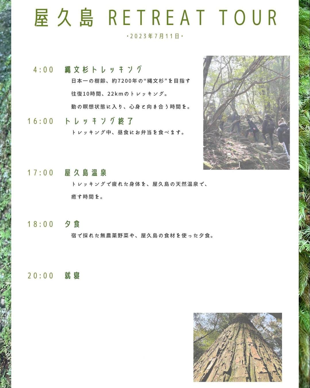 RiRiさんのインスタグラム写真 - (RiRiInstagram)「今回も無事、屋久島Retreat Tour終了致しました🌿  ツアー期間中、台風などのお天気により 屋久島に到着できない飛行機もある中、 お天気に恵まれて、本当にビックリ✈️🤍  現地の方も感動するレベルの 素晴らしい景色の数々を見せてくれた屋久島に 心から感謝。。。🥲✨  今回、台風も免れ、 りーが帰ってから屋久島は梅雨入りしたみたい😂  飛行機が飛ばなかったり、 到着しなかった事がないのもそうだけど、 たまたまツアー内容を変更したら 行く予定だった所が大雨だったり、 本当に摩訶不思議な事がたくさん。笑  屋久島の神様に愛されて、感謝です🥲🙏🌱  今回、初めて導入した屋久島の森の中での ヒーリングサウンドバス、最高すぎたので、 これからも入れていきたいと思いました🥺🌱  参加して下さった方々からの 嬉しいご感想の数々を頂く度に、 幸せな気持ちになります😭🤍  心身の解放を促し、人生の分岐点となるキッカケを リトリートツアーを通して、 与えられている事が何よりも喜びです🥲🙏🌿  次回の屋久島Retreat Tourは、7/10〜13⛰️✨  7月は、縄文杉トレッキングの予定です🥾🌿  その他にも、ヨガをたくさん入れたり、 夏の果樹園での果実狩り、滝の下の川に入ったり、 いろんなコンテンツを、今回も入れていきます☺️  次回もたくさんの方の ご参加をお待ちしております🐉  夏の屋久島は、太陽に照らされた植物が よりキラキラ輝く季節✨  是非、体感してもらいたいな🌿  ご参加希望の方は、 2枚目のQRコードから公式LINEに 必要事項をご明記の上、ご予約ください🧚🏻‍♂️🎶  また、このお日にち以外での 個別のプライベートツアーや、 ガイドさんのご紹介なども行なっておりますので、 併せてQRコードの公式LINEへ お問い合わせ下さいませ🍃  #屋久島 #yakushima #retreat #retreattour」6月1日 18時13分 - _ri420