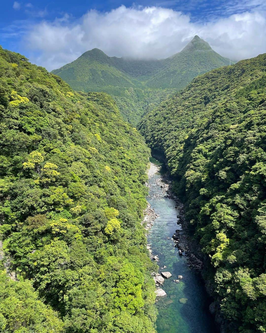 RiRiさんのインスタグラム写真 - (RiRiInstagram)「今回も無事、屋久島Retreat Tour終了致しました🌿  ツアー期間中、台風などのお天気により 屋久島に到着できない飛行機もある中、 お天気に恵まれて、本当にビックリ✈️🤍  現地の方も感動するレベルの 素晴らしい景色の数々を見せてくれた屋久島に 心から感謝。。。🥲✨  今回、台風も免れ、 りーが帰ってから屋久島は梅雨入りしたみたい😂  飛行機が飛ばなかったり、 到着しなかった事がないのもそうだけど、 たまたまツアー内容を変更したら 行く予定だった所が大雨だったり、 本当に摩訶不思議な事がたくさん。笑  屋久島の神様に愛されて、感謝です🥲🙏🌱  今回、初めて導入した屋久島の森の中での ヒーリングサウンドバス、最高すぎたので、 これからも入れていきたいと思いました🥺🌱  参加して下さった方々からの 嬉しいご感想の数々を頂く度に、 幸せな気持ちになります😭🤍  心身の解放を促し、人生の分岐点となるキッカケを リトリートツアーを通して、 与えられている事が何よりも喜びです🥲🙏🌿  次回の屋久島Retreat Tourは、7/10〜13⛰️✨  7月は、縄文杉トレッキングの予定です🥾🌿  その他にも、ヨガをたくさん入れたり、 夏の果樹園での果実狩り、滝の下の川に入ったり、 いろんなコンテンツを、今回も入れていきます☺️  次回もたくさんの方の ご参加をお待ちしております🐉  夏の屋久島は、太陽に照らされた植物が よりキラキラ輝く季節✨  是非、体感してもらいたいな🌿  ご参加希望の方は、 2枚目のQRコードから公式LINEに 必要事項をご明記の上、ご予約ください🧚🏻‍♂️🎶  また、このお日にち以外での 個別のプライベートツアーや、 ガイドさんのご紹介なども行なっておりますので、 併せてQRコードの公式LINEへ お問い合わせ下さいませ🍃  #屋久島 #yakushima #retreat #retreattour」6月1日 18時13分 - _ri420