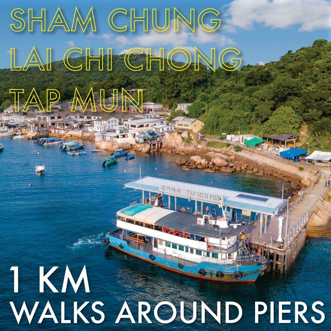 のインスタグラム：「[Great Outdoors Hong Kong | 1 km Walks around Piers]  Want to explore Hong Kong’s outdoors without covering yourself in sweat🥵? Try the 1 km walks around piers! From Wong Shek Public Pier or Ma Liu Shui Ferry Pier, take a ferry to reach Sham Chung, Lai Chi Chong or Tap Mun, where you can enjoy easy strolls around the piers and immerse yourself in nature with incredible views.🤩  ∎Picnic in the countryside in Sham Chung🧺 The expansive grassland in front of the Hakka villages is best for kite-flying🪁 and a fancy picnic.  ∎Geological wonders in Lai Chi Chong The ‘Giant’s Washboard’ volcaniclastic sedimentary rock🌋 in the Lai Chi Chong Geosite of Hong Kong Geopark is not to be missed. The scenery is spectacular!   ∎Stargazing on Tap Mun⭐ Buy local seafood🐟 on Hoi Pong Street to buy local seafood, visit Tin Hau Temple to explore Hong Kong’s fishing culture, take photos with the ‘Balanced Rock’🪨 and the amazing seaview, and stay on the grassland for stargazing — the island of Tap Mun is full of remarkable treasures for you to discover.   Find out more about ‘Hong Kong Great Outdoors’: bit.ly/3ZRUAdn  【咫尺自然 ‧ 就在香港 | 碼頭一公里散步路線】 想親親大自然，又唔想行到身水身汗🥵，就要留意今集推介嘅三條碼頭一公里散步路線！喺黃石碼頭或者馬料水碼頭出發，就可以到達深涌、荔枝莊同塔門，落船後漫步唔夠一公里，就可以郊遊睇靚景！🤩  ∎深涌郊遊野餐🧺 客家村前有一片大草地，既可以喺度放風箏🪁，亦可以準備精緻嘅食物同餐具，嚟一場華麗野餐！  ∎荔枝莊地質奇景 荔枝莊地質公園嘅名物，就係有「巨人洗衫板」之稱嘅火山碎屑沉積岩🌋，真係好壯觀！  ∎塔門小島觀星⭐ 塔門散步行程豐富，落船後喺海傍街買當地特產🐟、參觀天后古廟、去呂字疊石🪨同涼亭打卡，入夜後記得留喺大草坪觀星！  瀏覽更多「咫尺自然 ‧ 就在香港」資訊：bit.ly/3yscG9v」