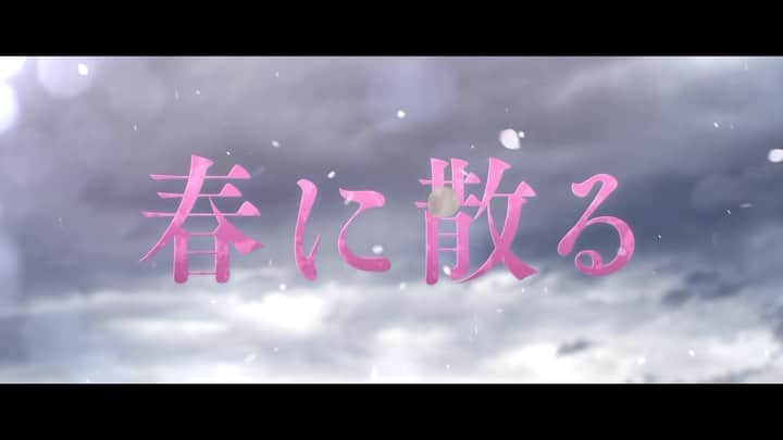 横浜流星のインスタグラム：「映画『春に散る』本予告、本ポスター解禁！ 8月25日公開です。お楽しみに。  #映画 #春に散る #8月25日公開 #皆さん是非！ #6月生まれの方 #誕生日おめでとう #素敵な一年になりますように @haruchiru_movie」