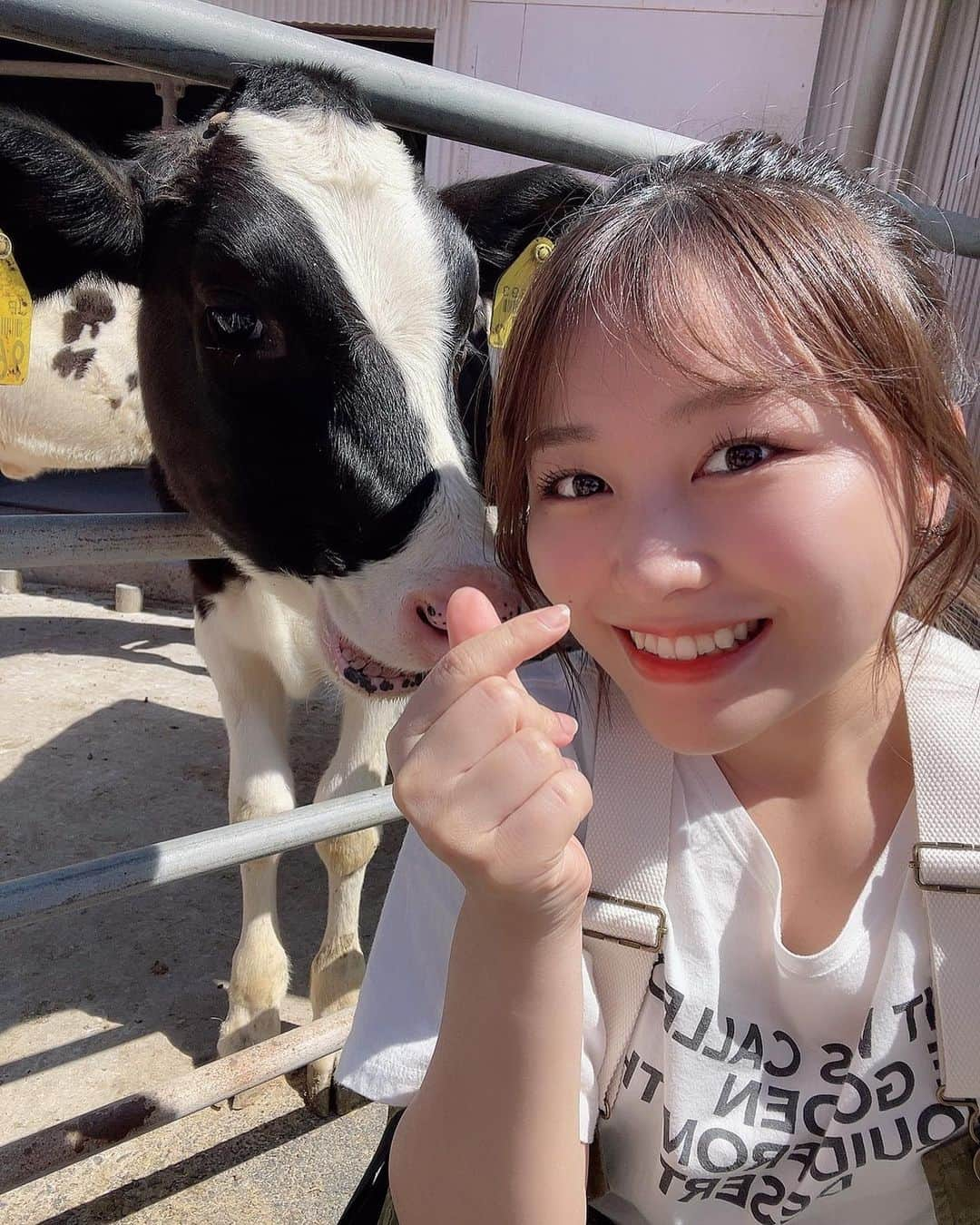 島崎友莉亜さんのインスタグラム写真 - (島崎友莉亜Instagram)「#マザー牧場 へ行ってきたよ🐄 動物と大自然に囲まれて、ゆったりした時間が流れてた🔅ここに住みたいし、羊飼いになりたい！千葉ラブ  #千葉観光 #わんわんバス #大好き」6月1日 18時18分 - yuria_shimazaki_uug2ki