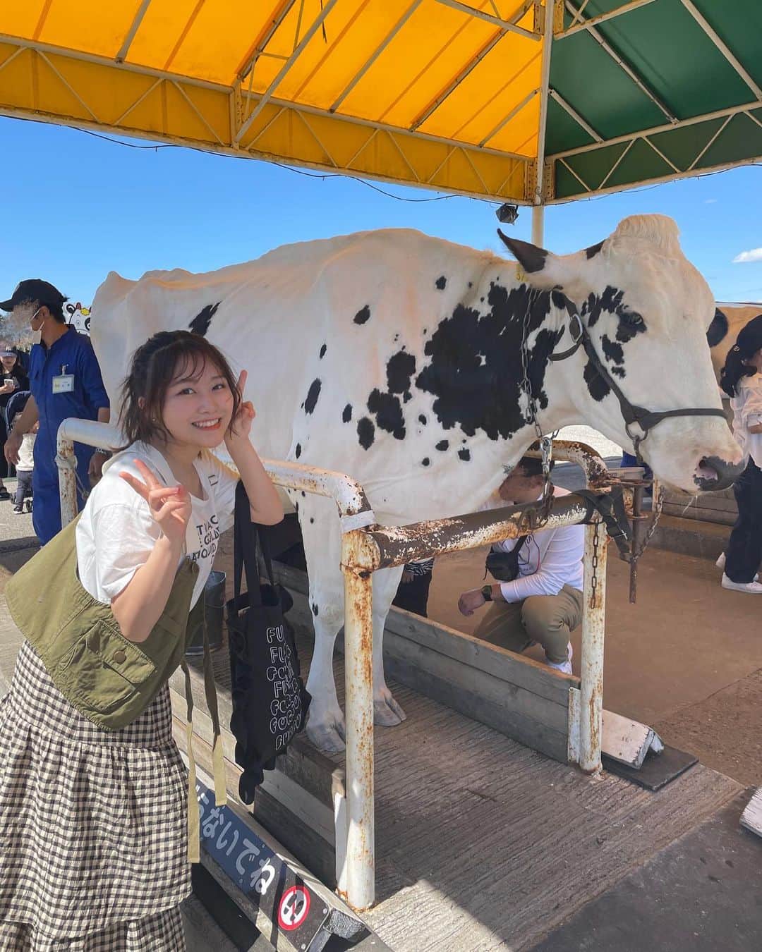 島崎友莉亜のインスタグラム：「#マザー牧場 へ行ってきたよ🐄 動物と大自然に囲まれて、ゆったりした時間が流れてた🔅ここに住みたいし、羊飼いになりたい！千葉ラブ  #千葉観光 #わんわんバス #大好き」