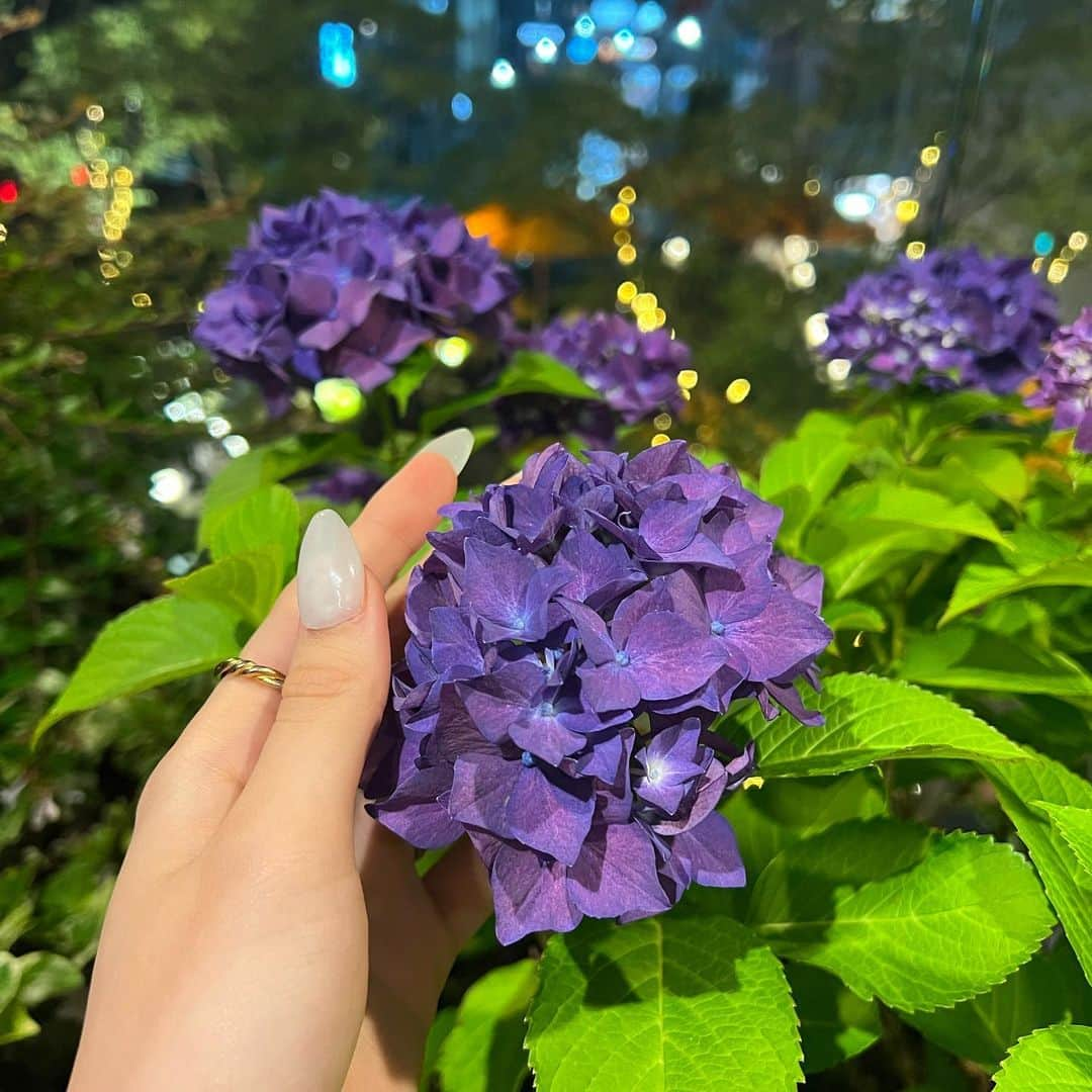 小野寺南友さんのインスタグラム写真 - (小野寺南友Instagram)「初ブロンドヘアー🤫✨  ※染めてません(It’s fake hair)」6月1日 18時40分 - miyuonodera_