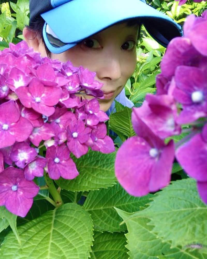 小川知子さんのインスタグラム写真 - (小川知子Instagram)「早い梅雨入りかなー  庭の紫陽花が満開♪ 私の好きな色に咲いています。  気持ちの良い風が爽やかでした。  #早い梅雨入り #紫陽花 #小川知子」6月1日 20時08分 - tomoko_ogawa_
