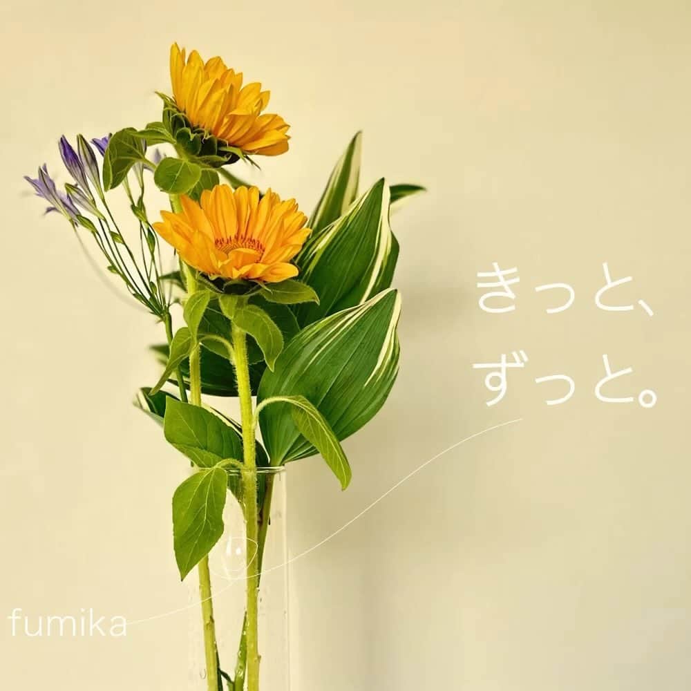 fumikaのインスタグラム：「⁡ ⁡ 𝓝𝓮𝔀 𝓓𝓲𝓰𝓲𝓽𝓪𝓵 𝓢𝓲𝓷𝓰𝓵𝓮💿✨ ⁡ 6月21日（水）  新曲２曲同時リリース決定！ ⁡ ◉きっと、ずっと。 ⁡ ◉My Life - Hello Again - ※ BSよしもと「ワシんとこ・ポスト」 　6月度エンディング👏 ⁡ 詳細はHPにて🥳✨」