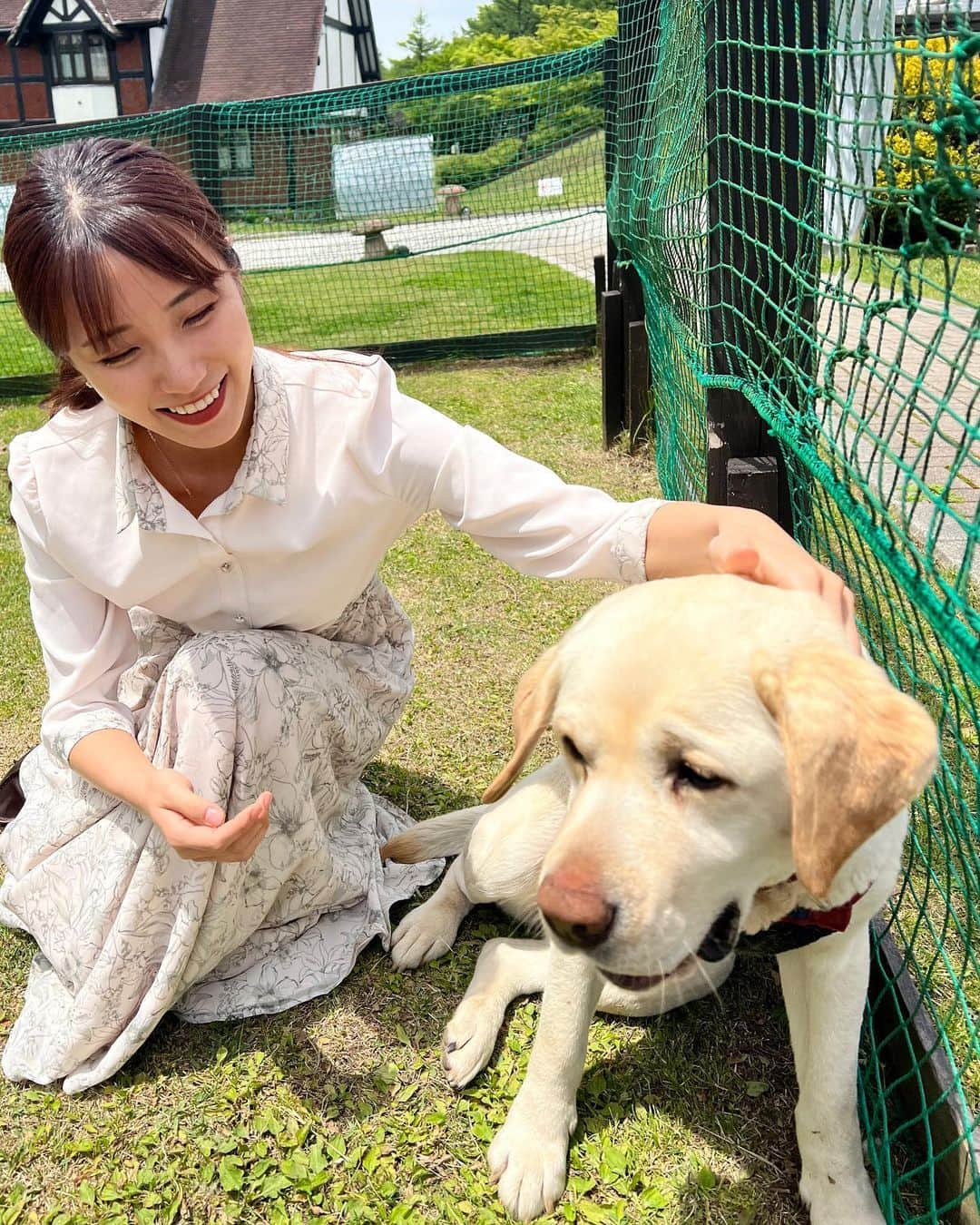 Moka さんのインスタグラム写真 - (Moka Instagram)「かわいすぎた〜🐶♡  お犬様ほんとに癒される。ありがとう。  #フリーモデル #フリーランスモデル #広告モデル #イメージモデル #撮影 #撮影モデル #撮影依頼受付中 #撮影依頼募集中 #インフルエンサー #インスタグラマー #犬 #犬好き #犬好き部 #犬スタグラム #犬のいるホテル #パスポートのいらない英国 #ブリティッシュヒルズ #ラブラドール #ラブラドールレトリバー #ラブラドールレトリーバー #大型犬 #ペット #看板犬」6月1日 20時26分 - moka_030n