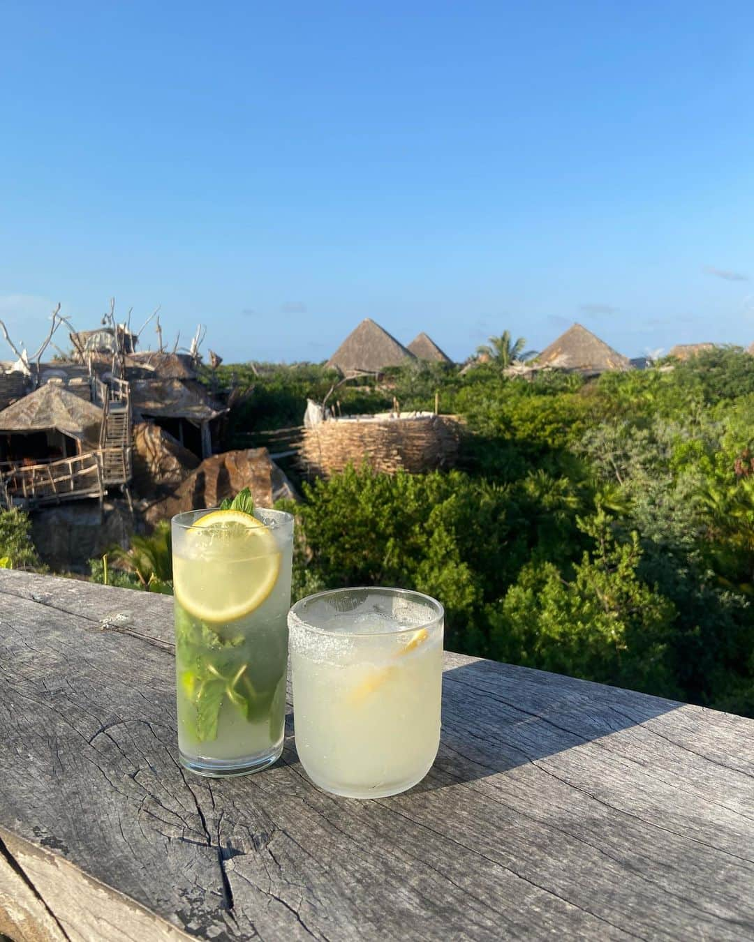 福井セリナさんのインスタグラム写真 - (福井セリナInstagram)「どこまでも続くジャングルを一望できるrooftop bar🍸  マサイ族が日々流していそうな(?)曲をBGMに驚くほど濃いマティーニを飲む時間🤣💕  メキシコに行くことになってからずっと気になっていて、中に入ってもやっぱり不思議な世界観で終始感動！  @azulik サンセットの時間まで誰でもこのバーは入れるので宿泊しなくても楽しめるよ🌿  #azulik #azuliktulum #rooftopbar #ルーフトップバー #メキシコ #カンカン #ハネムーン #新婚旅行 #コンセプトはマサイ族 のオアシス」6月1日 20時43分 - serinafukui__