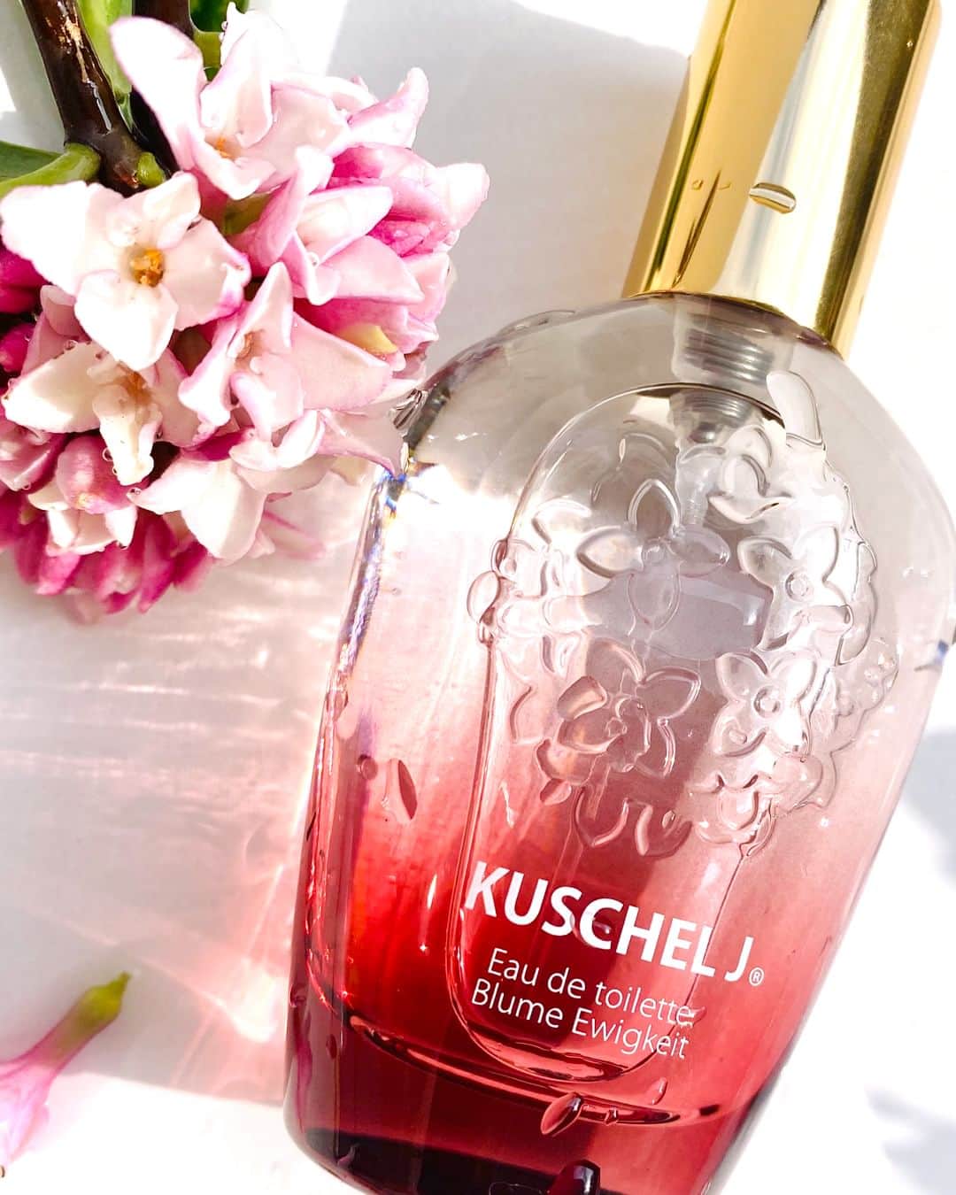 のインスタグラム：「. 【 KUSCHEL J 】  クシェルヨットより、 ジンチョウゲの花をイメージしたシリーズ💐  目覚めるような “沈丁花” の爽やかで みずみずしい香りに、 鮮やかなレモン、美しく しとやかなスズランが重なり合って調和する。  梅雨のじめじめした空気を、 ジンチョウゲシリーズでリフレッシュ✨  ぜひ店頭にてお買い求めください！  #fragrancy_online #fragrancyonline #fragrancy #japan #fragrance #フレグランシィオンライン #クシェルヨット #kuschelj  #香りのある暮らし #香りのある生活 #沈丁花 #ジンチョウゲ #loft #ロフト #plaza #プラザ」