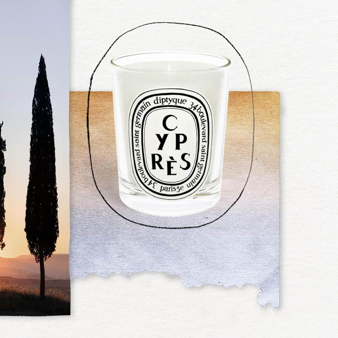 ディプティックさんのインスタグラム写真 - (ディプティックInstagram)「Their elegant silhouette… …dotting the landscape, rows of cypresses enliven the horizon as the resinous, honeyed accents of their needles fill the air. Before them, Diptyque's Cypress candle alight, the summer heat seems to mellow.  #diptyque #diptyqueparis #cypres」6月1日 21時09分 - diptyque