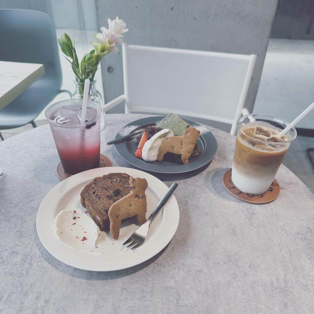 のインスタグラム：「キャロットケーキおいしかった🥕♡  わんちゃんのクッキーもかわいい🍪  代官山はほんとに良いカフェ多くてたのしい…！  将来の夢はぽこと代官山に 住むことです🐩  #カフェ #代官山カフェ #instagood カフェ巡り #カフェ#cafe #オシャレカフェ #いいね返し #いいね#代官山グルメ#代官山 #代官山ランチ」