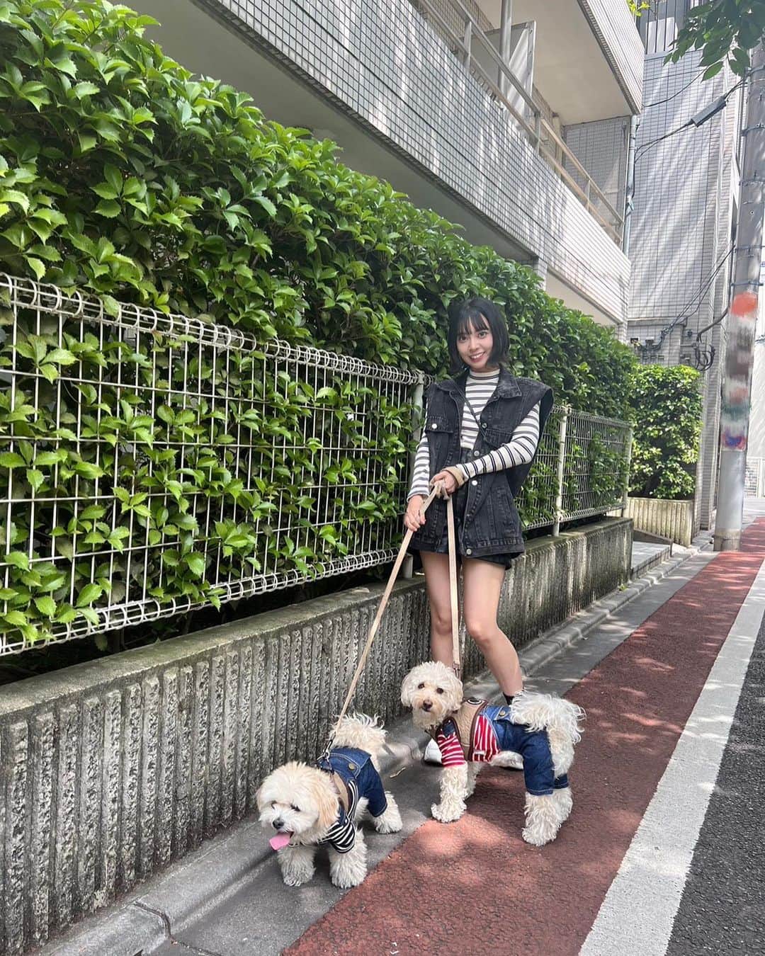 山田寿々さんのインスタグラム写真 - (山田寿々Instagram)「. ⁡ ⁡ ゆきこますずのペアルック🫶💞 ⁡ ⁡ お姉ちゃんに会った瞬間に『ナイス！』って言われて 何かと思ったらゆきこまとたまたまペアルックでした😂笑 ⁡ さすがに笑っちゃった〜っ ⁡ まぁすずも山田菜々の３匹目の犬みたいなとこありますから ⁡ ⁡ #ペアルック #ペアルックコーデ #dog #犬のいる暮らし #犬のいる生活 #犬の散歩 #ボーダートップス #ボーダー #ボーダーコーデ #アイドル #ボブ #外ハネボブ」6月1日 21時42分 - suzu48_tan_1211