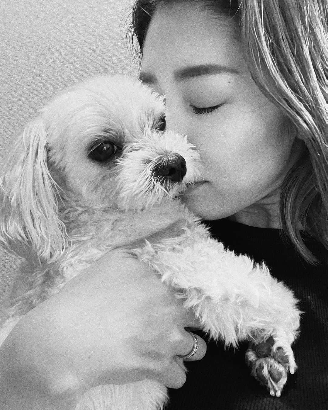 七菜香のインスタグラム