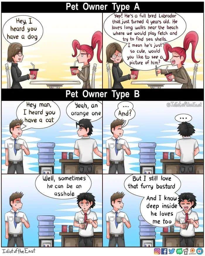 9GAGのインスタグラム：「Which one are you? ✍🏻 @idiotoftheeast - #comic #pets #cats #dogs #9gag」