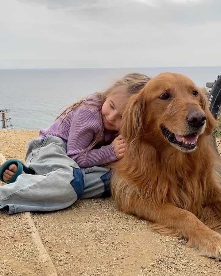 Amber Fillerup Clarkのインスタグラム：「Our sweet pup passed away a few days ago 😔 they found a mass on his spleen and are not sure if it was due to that or something else. Some people have told us that dogs sometimes wait until their owners are gone to pass to spare them grief and maybe that is a wives tale but believing anything else hurts too much 😔 he was there for every single baby being born. He moved from Utah to Alabama to New York to Hawaii to Arizona with us. He would guard the door when I worked out alone early in the morning. When the kids would swim he would walk around the pool barking anytime he thought someone was struggling. When David was out of town he slept out of his usual spot and instead in the middle of the house. He was always protecting us 💔 he was sooooooo good to us I’m so devastated and hurt that we weren’t there with him when he left. I feel like I’ll never forgive myself for that. I didn’t know it could hurt this much losing an animal. I love him sooooo much and will miss him being at my feet as I do my make up, cook, or really do anything since he was truly always by my side. Hikes, camping, and road trips won’t be the same. I’m so happy me and David groomed him before we left - we washed his hair and trimmed him up all nice. He will be the most handsome dog in heaven. I miss him so much it makes me just so sad 😔 I never considered this a possibility because I thought we had more time with him.. he was the best dog ever. I love you so so so so so so so much Chauncey 🕊️💔😔」