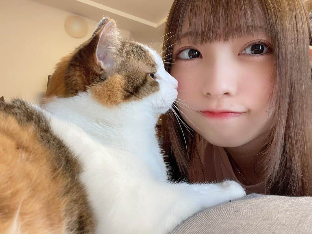 櫻井もえさんのインスタグラム写真 - (櫻井もえInstagram)「.  🐱🤍  .」6月1日 22時37分 - mooochan46