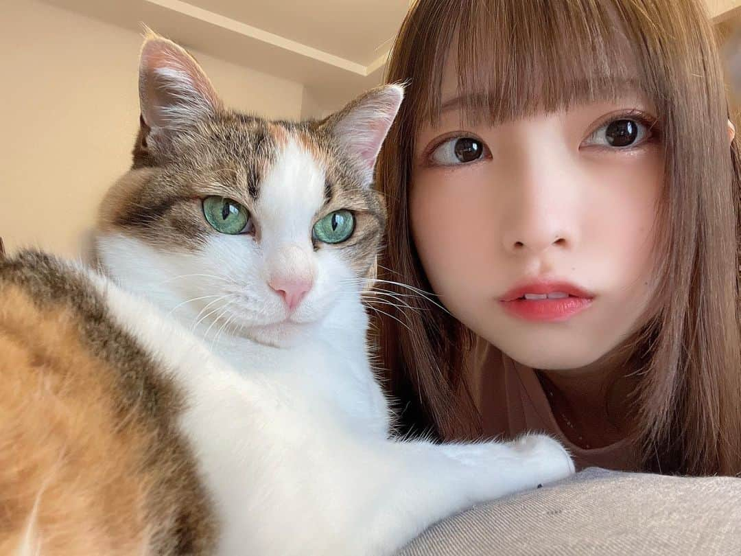 櫻井もえさんのインスタグラム写真 - (櫻井もえInstagram)「.  🐱🤍  .」6月1日 22時37分 - mooochan46